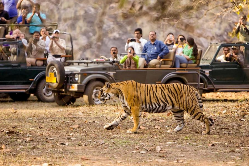 Kawal Tiger Reserve